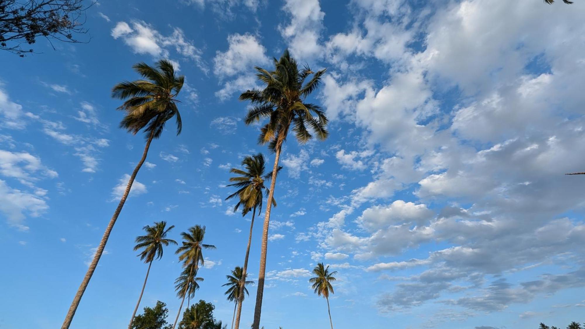 Villa Adelina Zanzibar Exteriér fotografie